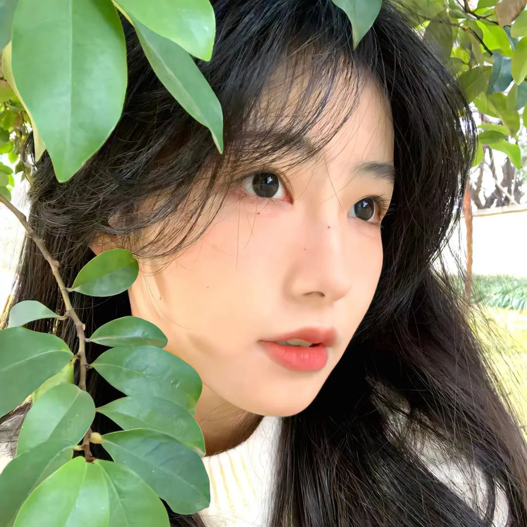 花落花开